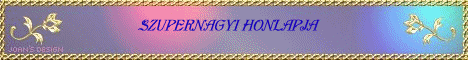 bannerdezsoili