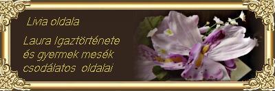 bannerdezsoili