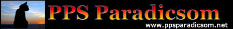 ppsbannerjudit